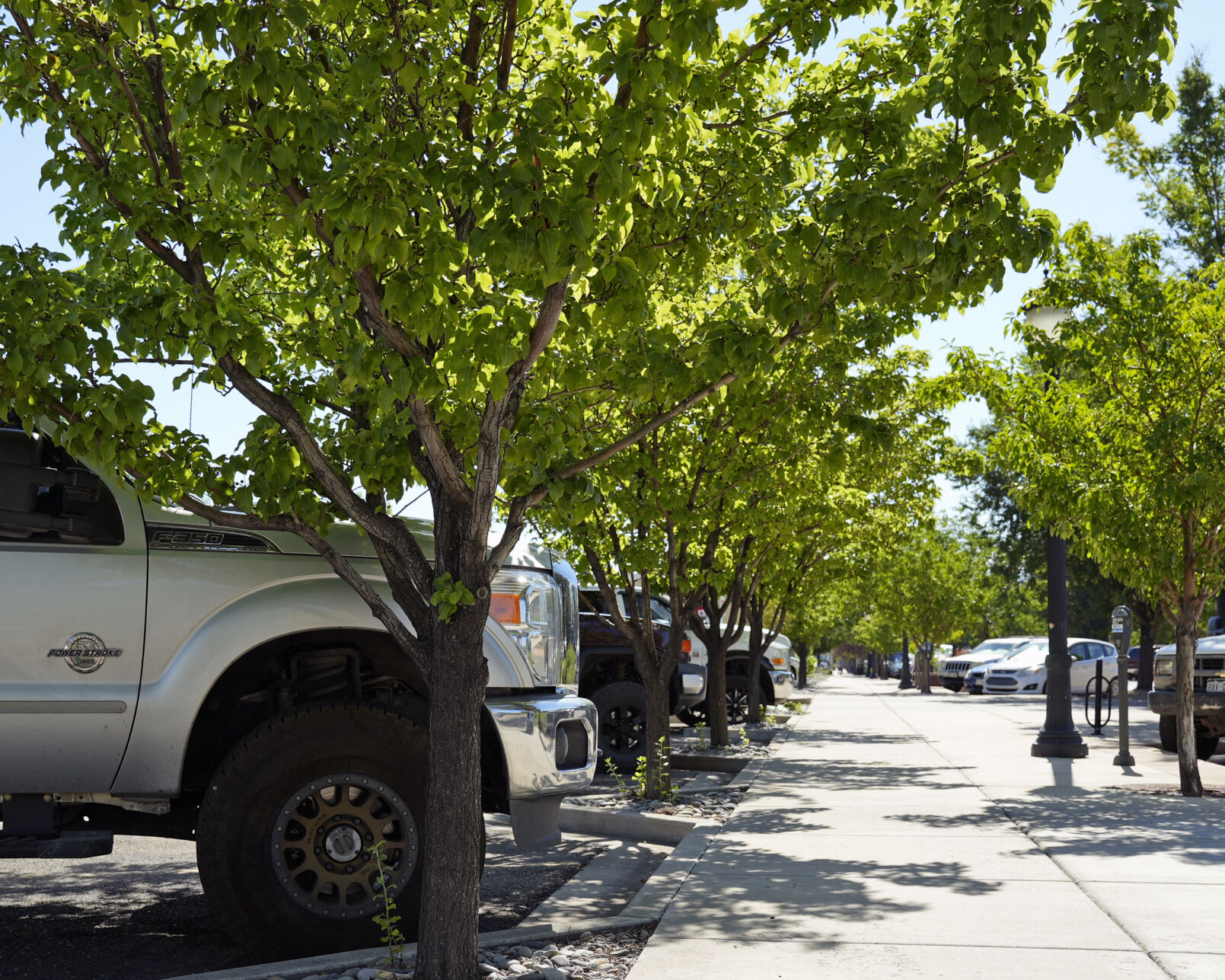 Downtown parking